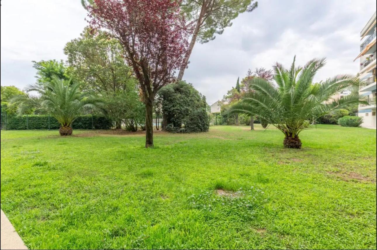 Apartamento Cosy T3 - Jardin - Parking - Piscine Montpellier Exterior foto